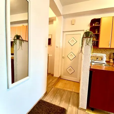 Elena Apartment Dugi Rat
