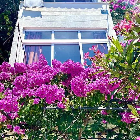 Elena Apartment *