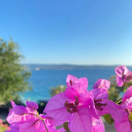 Apartamento Elena Dugi Rat